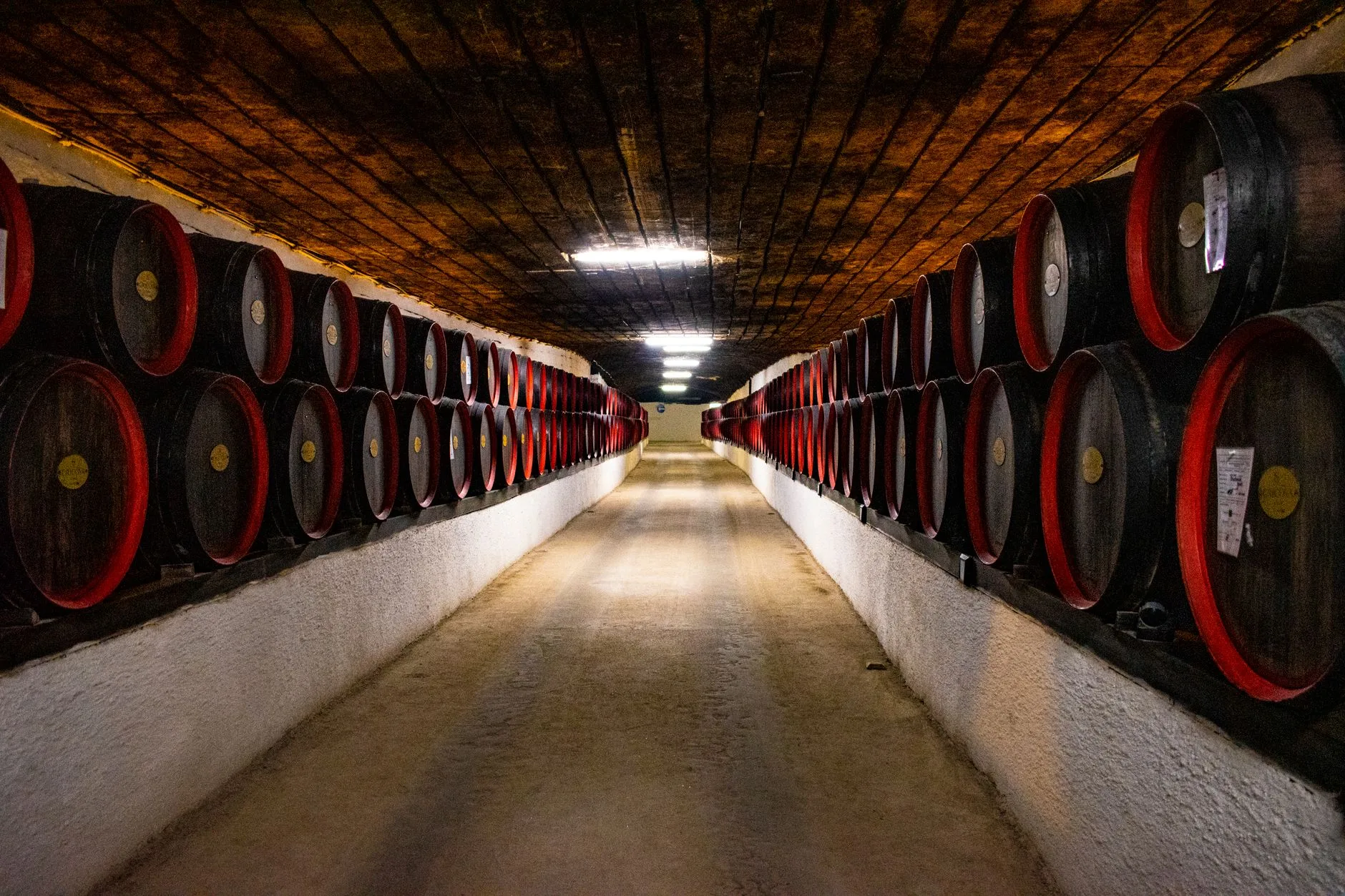La Vallée de la Belle Femme : dégustations dans les caves d'Eger