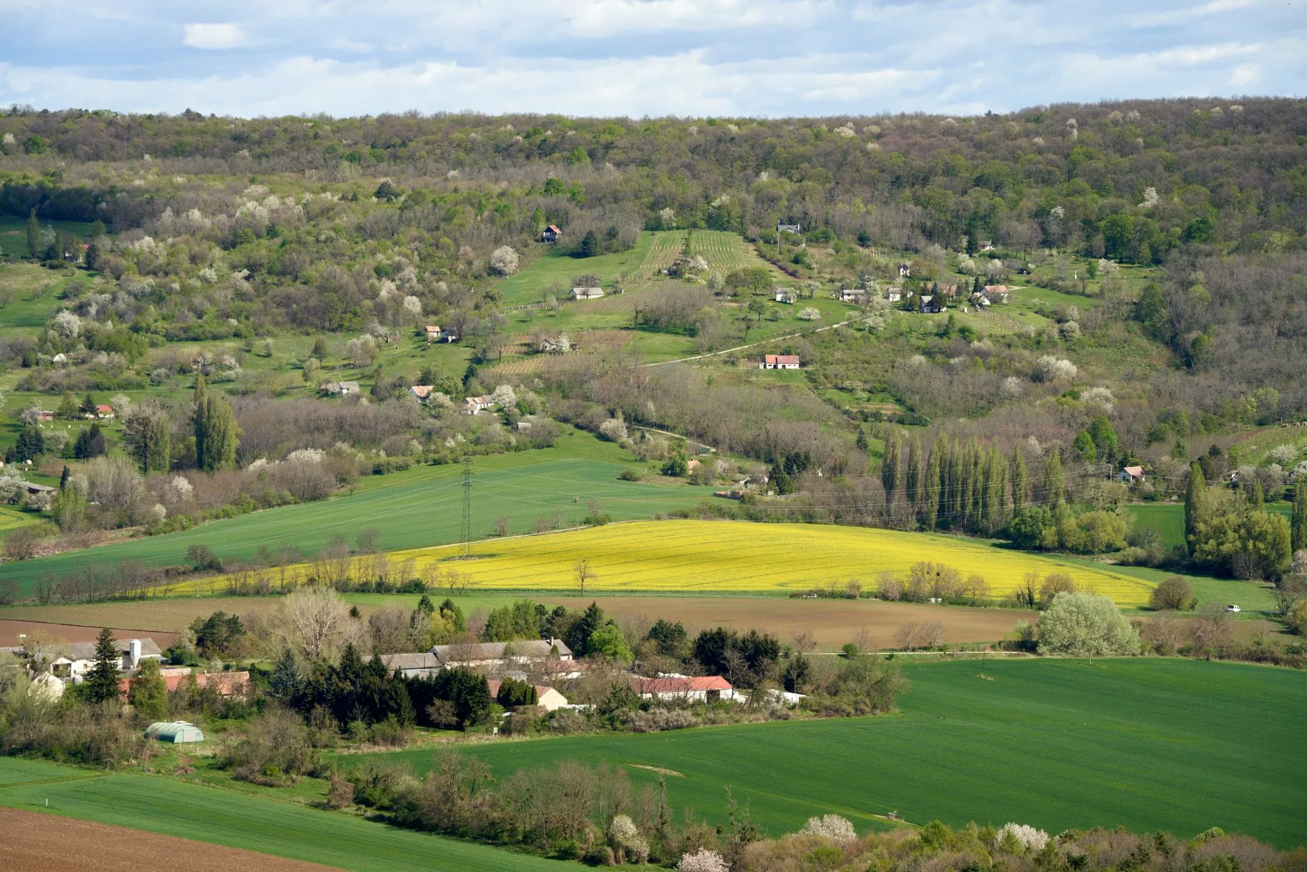 Tokaj : le village du vin doré
