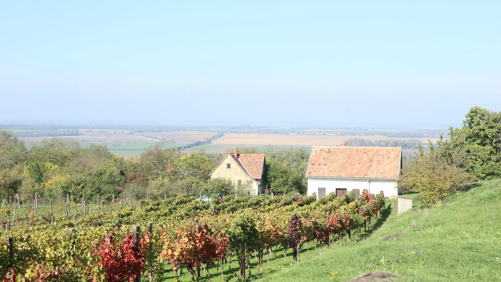 Vignobles et caves de la région de Tokaj en automne, Hongrie
